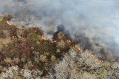 Bursa'da ormanlık alanda korkutan yangın havadan görüntülendi