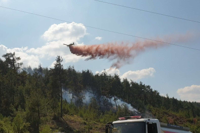 Bursa Valiliği, yangına karşı ormanlarda ateş yakmayı yasakladı