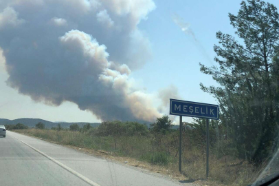 Muğla'da Yangın!