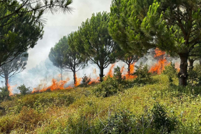 Karacabey yangın riskine karşı teyakkuzda