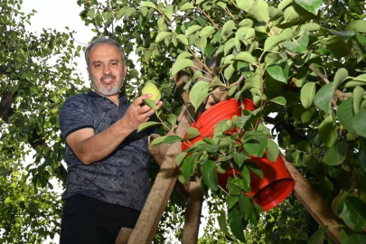 Armut hasadı yapan çiftçiye Başkan Aktaş'tan yerinde ziyaret