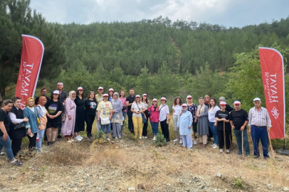 Sağlık çalışanları ağaçlara da şifa verdi