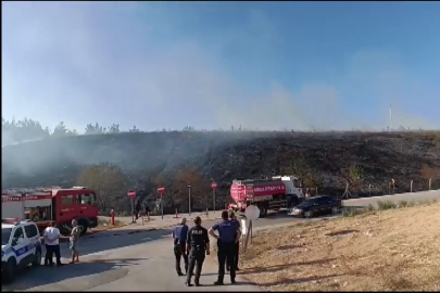 Gençlerin tehlikeli oyunu ormanı yakacaktı