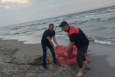 Mudanya'da kum şırlanı denetimi