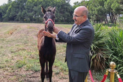 Vali Demirtaş’tan Askeri Veteriner Okulu’na ziyaret