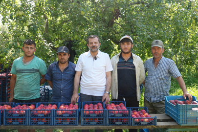 Bursa Şeftalisi'ne Avrupa'dan tescil haberi