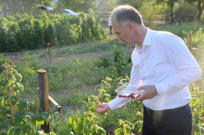 İnegöl Belediyesi "Ücretsiz Toprak Analizi" yapmaya devam ediyor