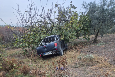 İşçileri taşıyan kamyonet ağaca çarptı! 1 ölü, 7 yaralı