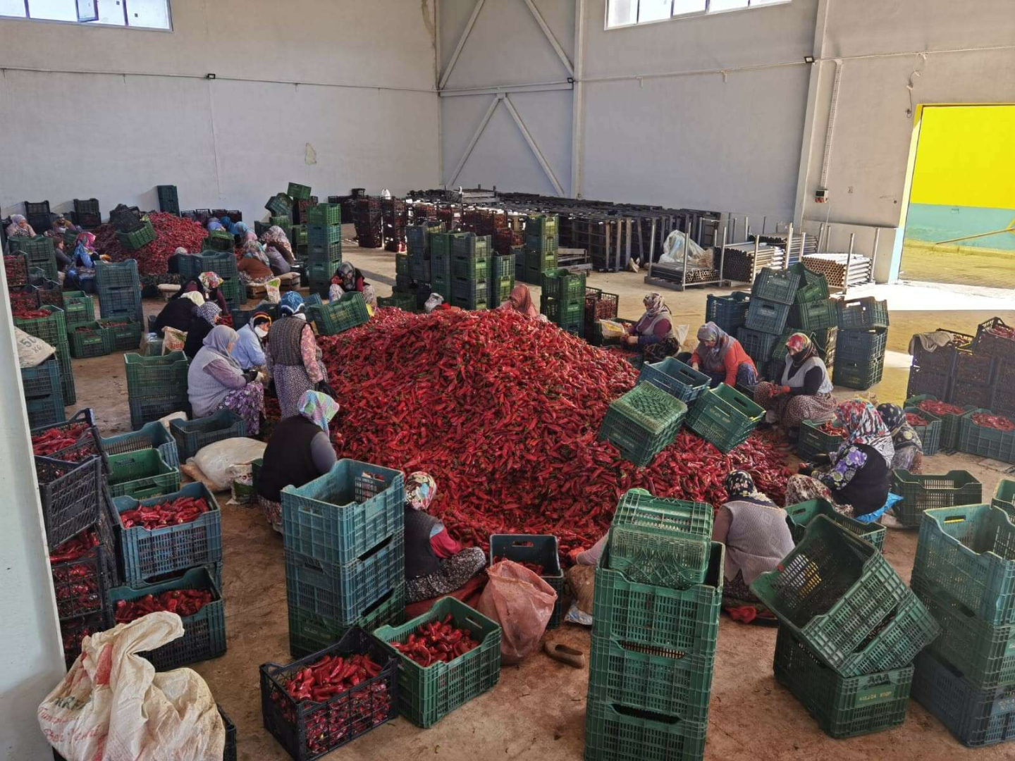 Savaş salça ihracatını artırdı