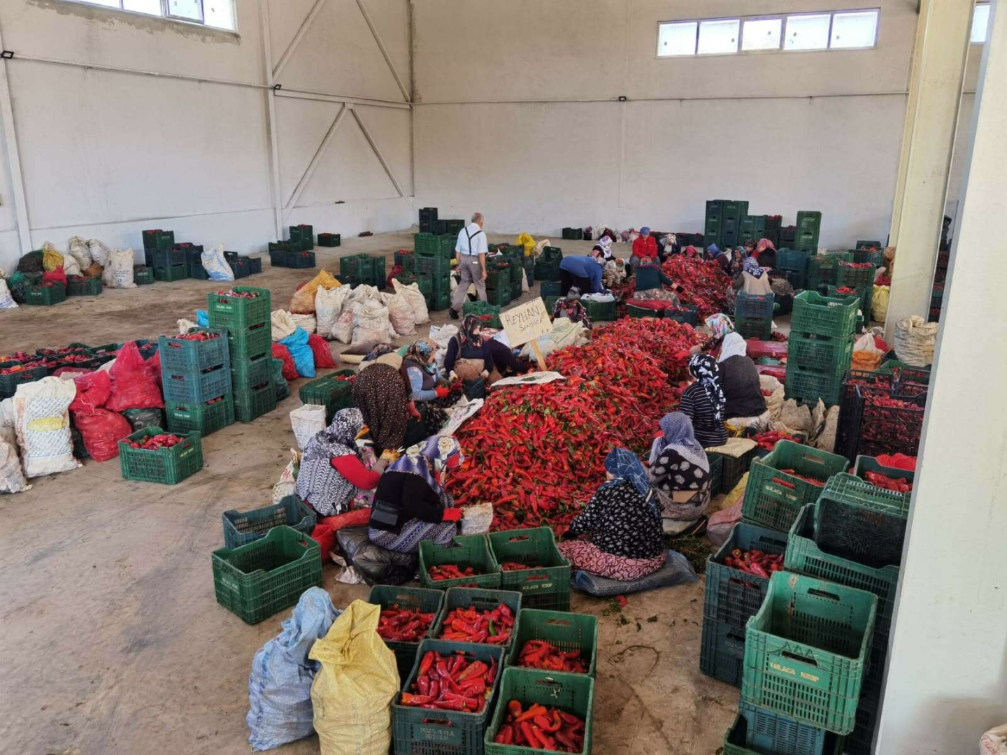 Savaş salça ihracatını artırdı