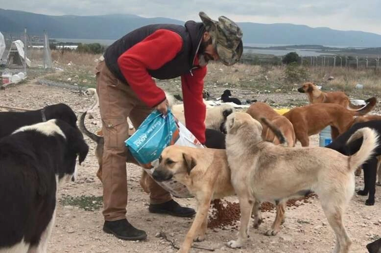 800’den fazla sokak hayvanı için kışa hazırlık yaptılar