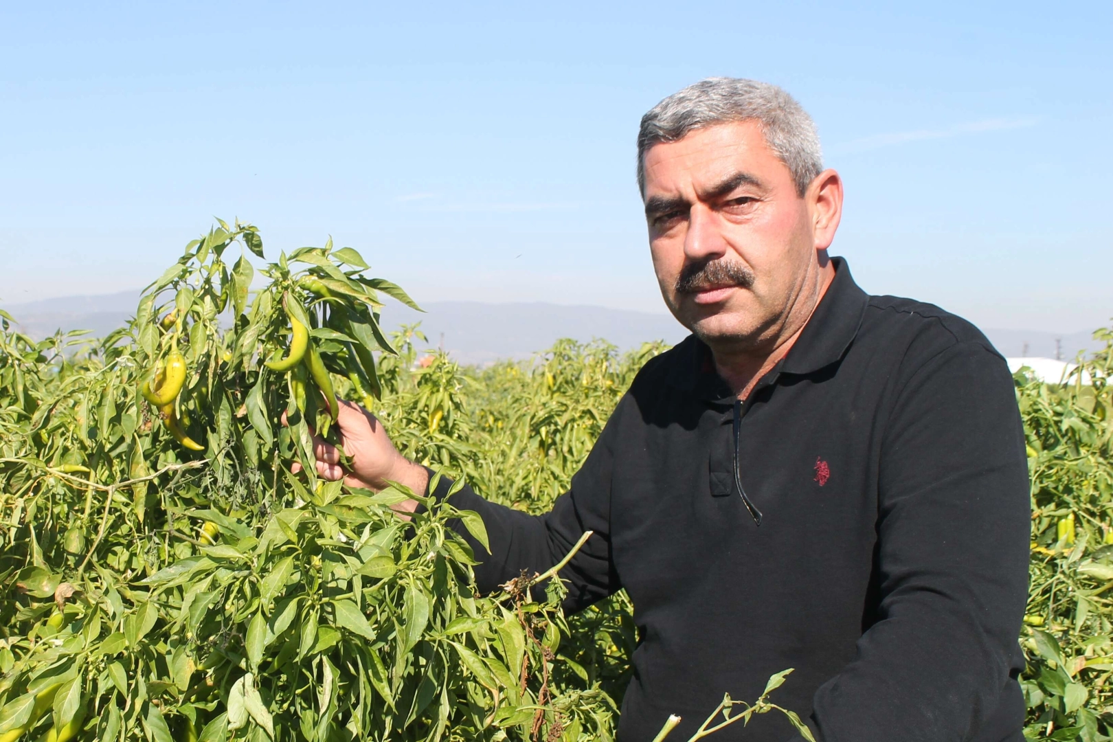 Türkiye’de ilk kez Bursa’da denendi, işçi maliyetleri yüzde 90 düştü