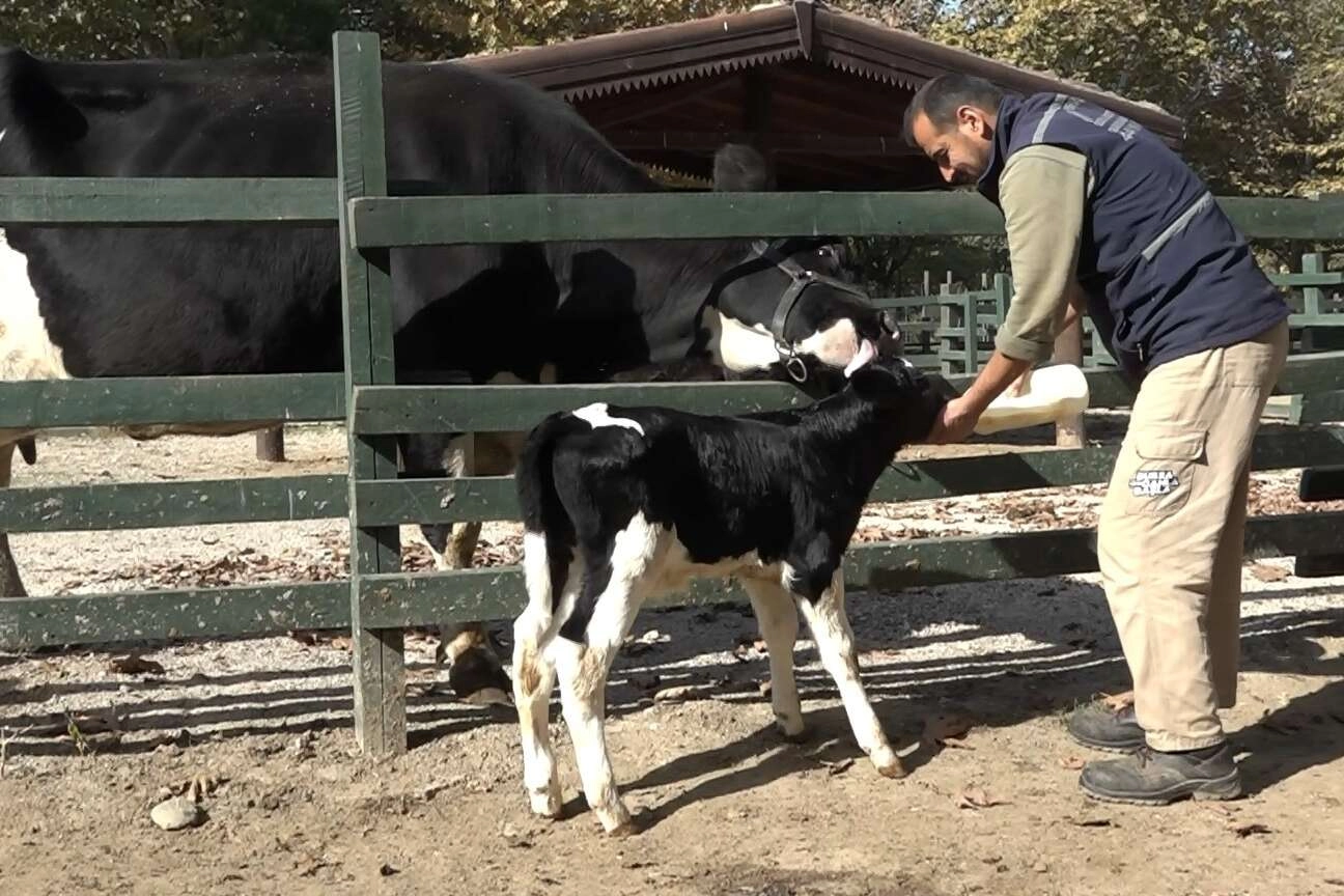 Hayvanat bahçesinin yeni üyesinin ismini Bursalı hayvanseverler koydu