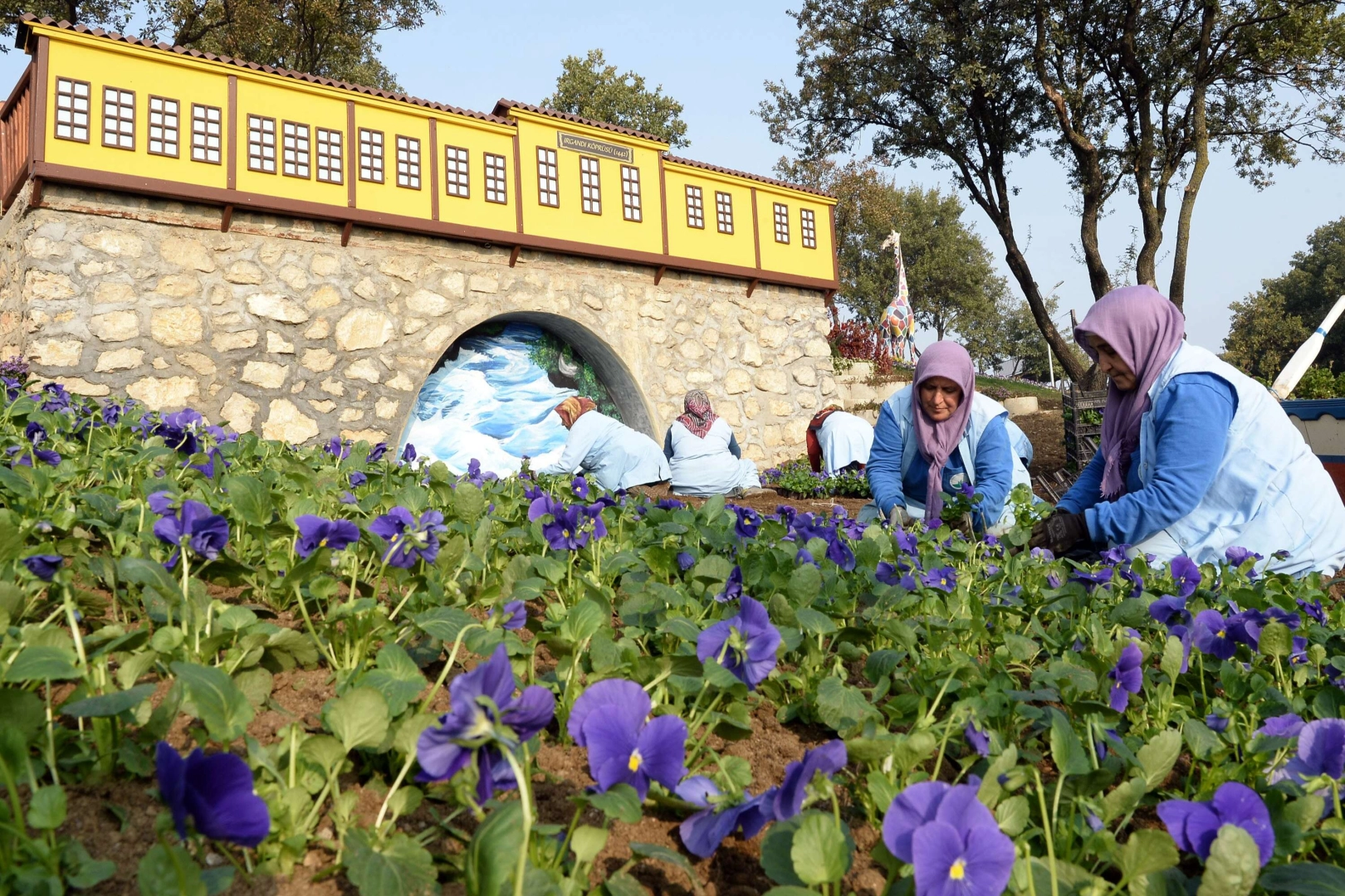 Macera Bursa kış çiçekleriyle yenileniyor