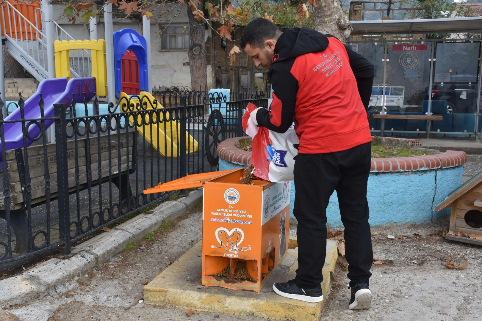 Sokaktaki canlar mamaya kolayca ulaşıyor