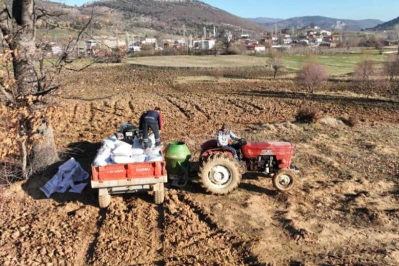 Gürsu Belediyesi buğday ekti