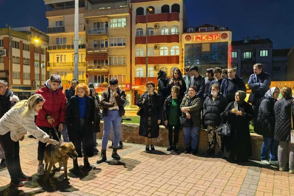 Hayvanseverlerden av tüfeği ile köpeklere ateş eden şahsa tepki