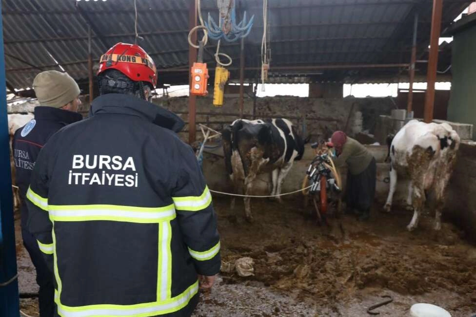 Bursa itfaiyesi gece yangında gündüz ahırda