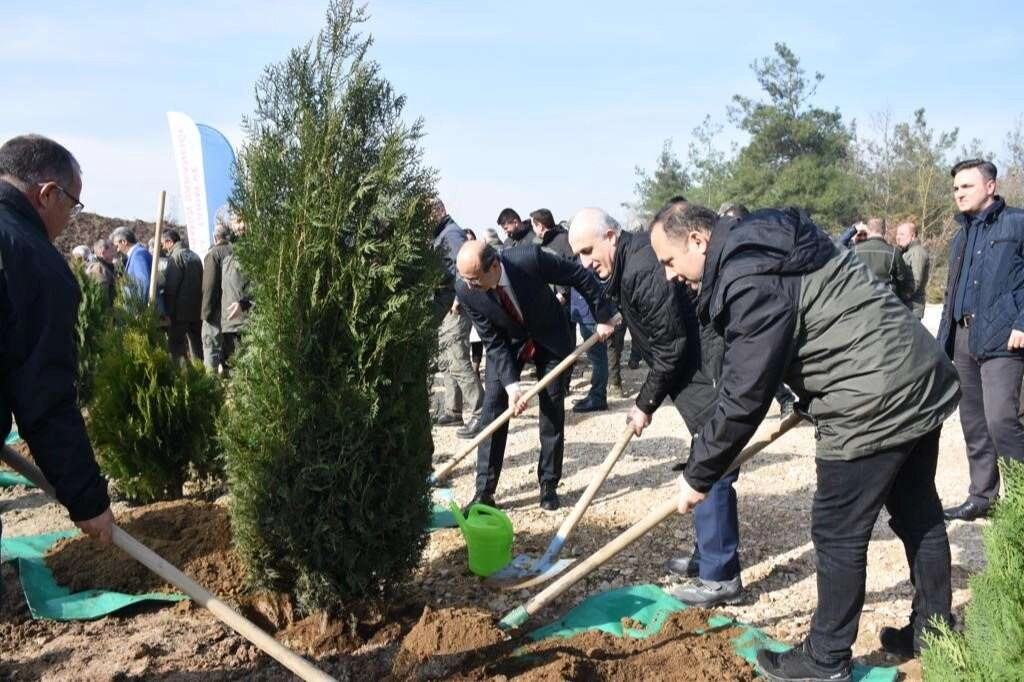 Depremde hayatını kaybeden vatandaşların anısına Bursa'da 8 bin fidan dikildi