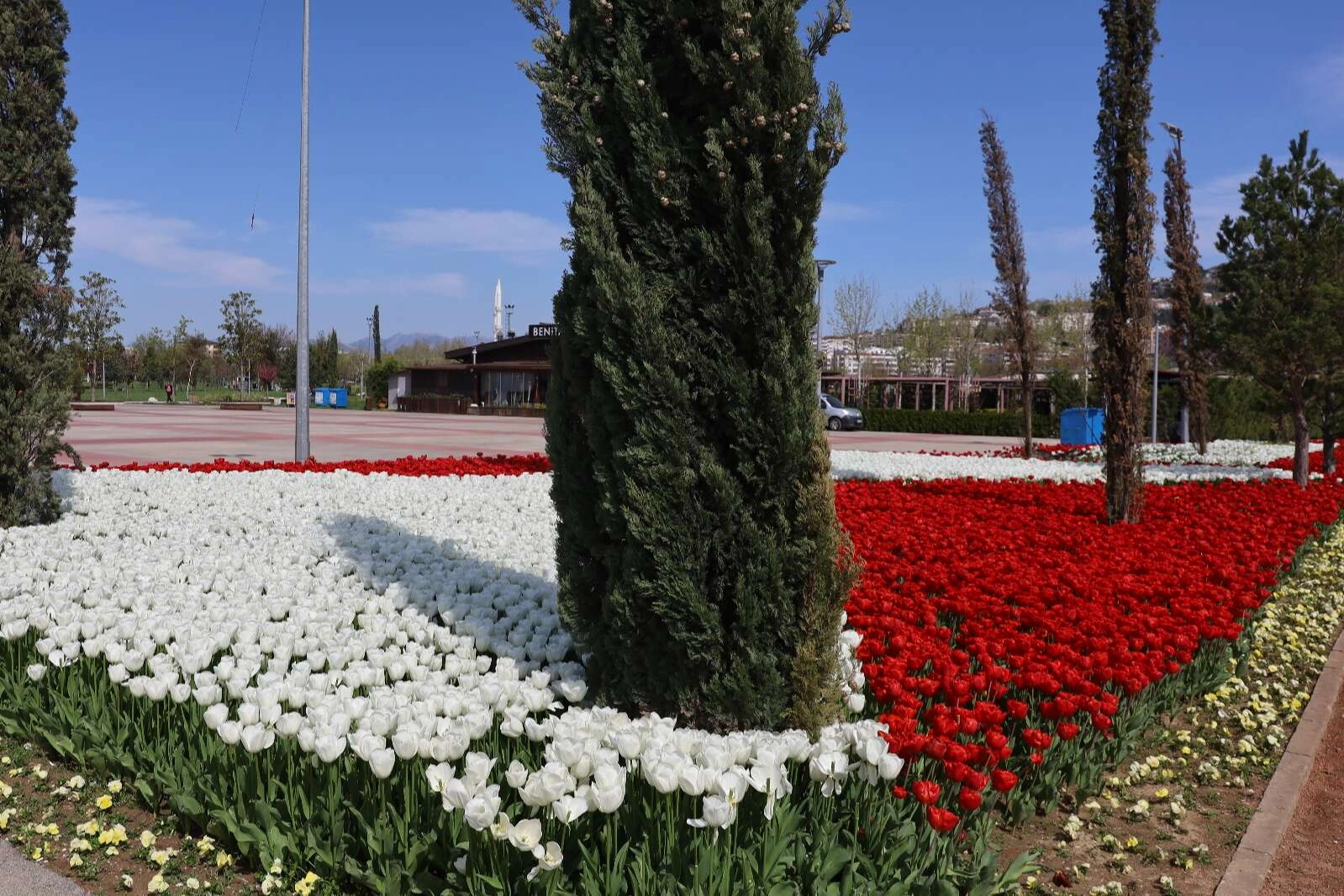 Baharın tüm renkleri Bursa’yı sardı