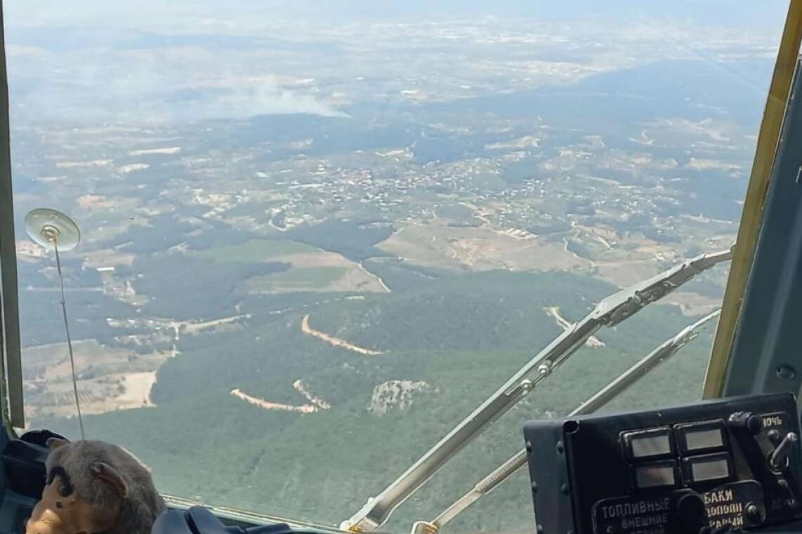 İzmir'de orman yangını