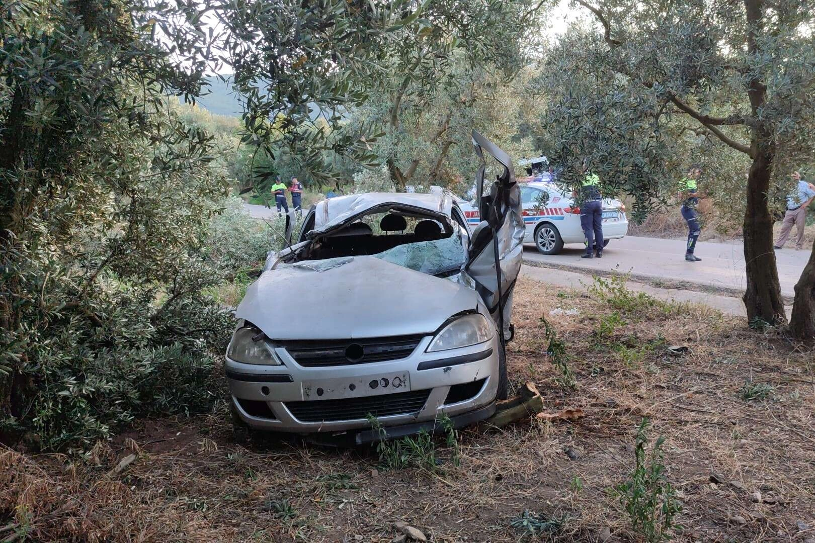 Orhangazi'de korkunç kaza! Otomobil zeytinliğe daldı