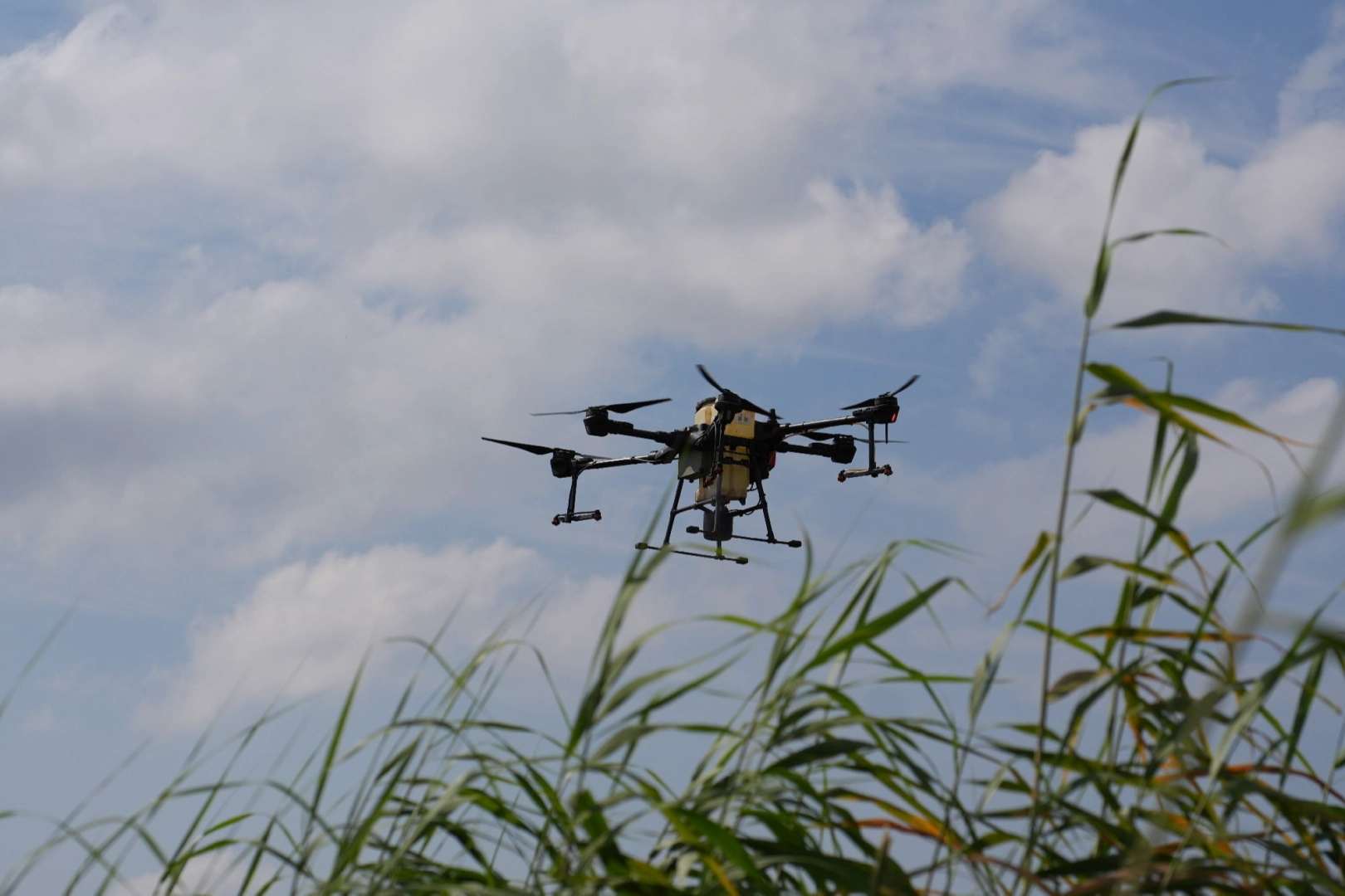 Bursa'da drone ile sinek avı