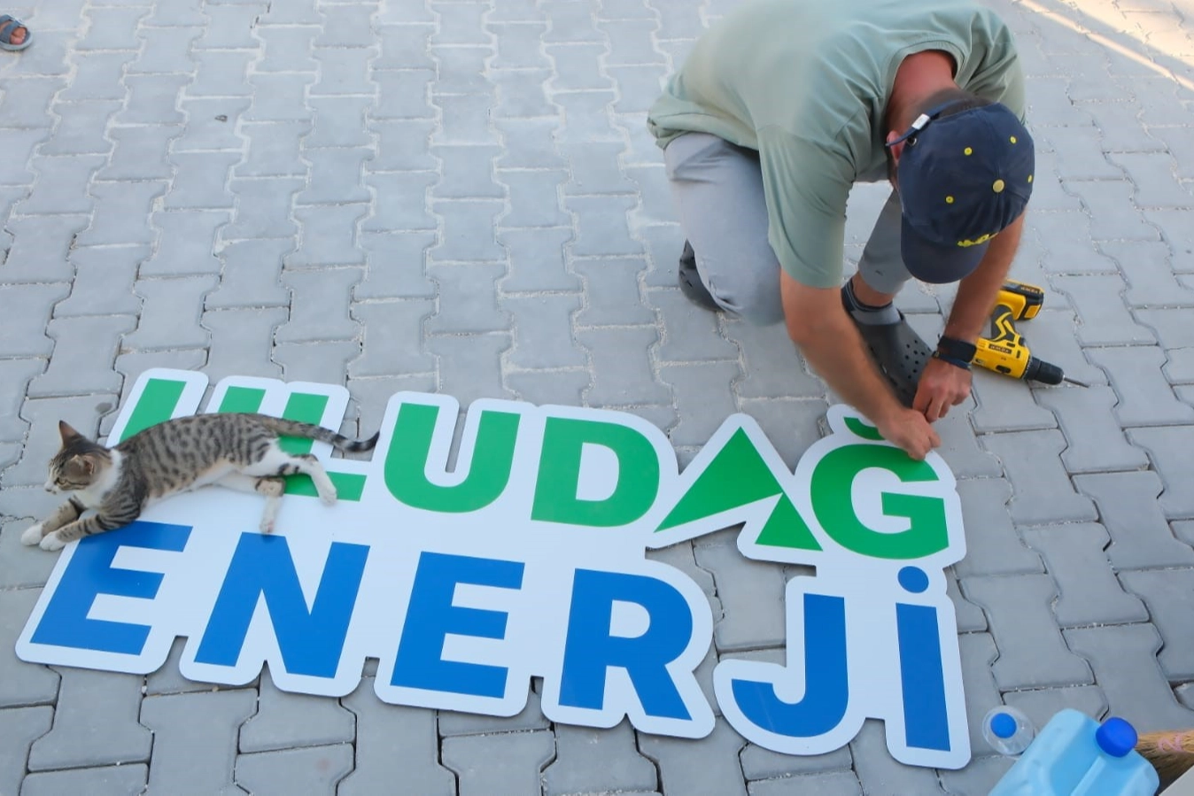 Uludağ Enerji, Hatay kampüsünde sokak hayvanlarını unutmadı