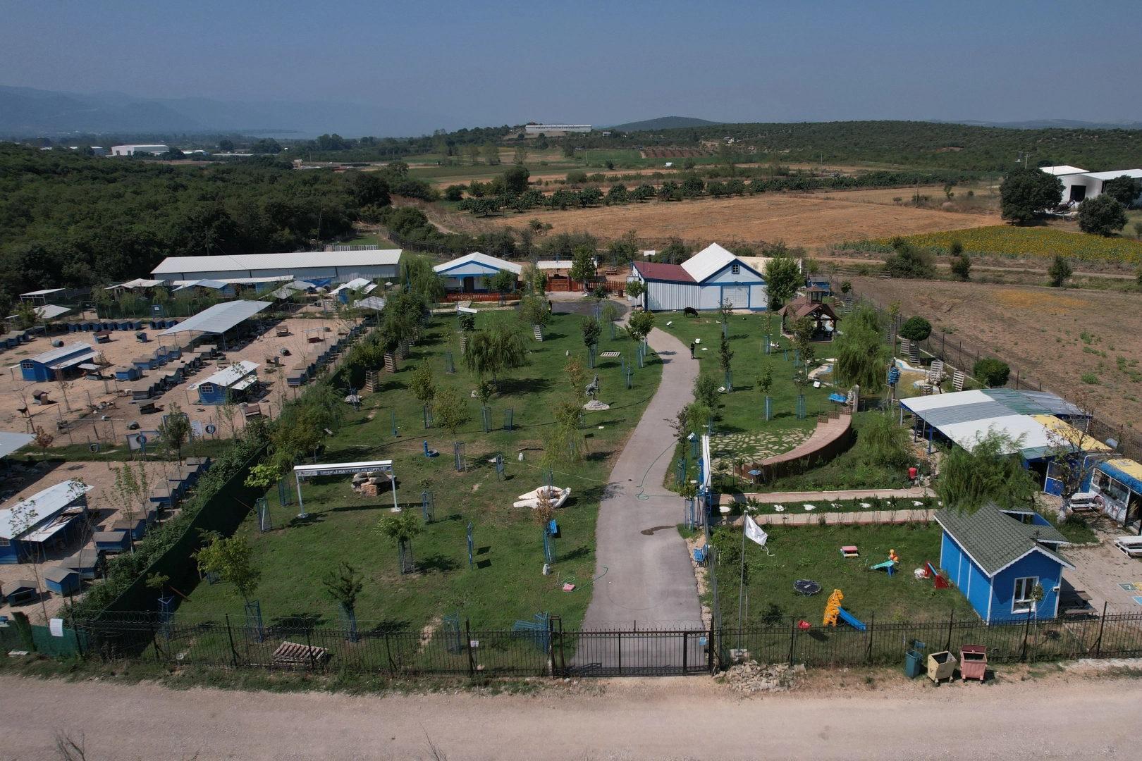 Emekli hayvanlar bu çiftlikte dinleniyor