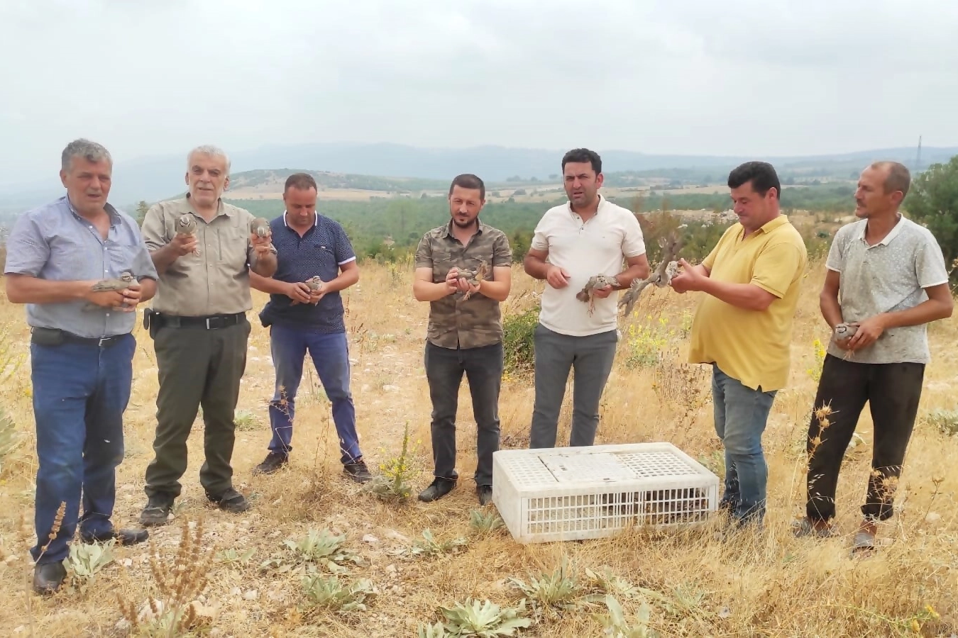 Avlanması yasaklanan keklikler doğaya salındı