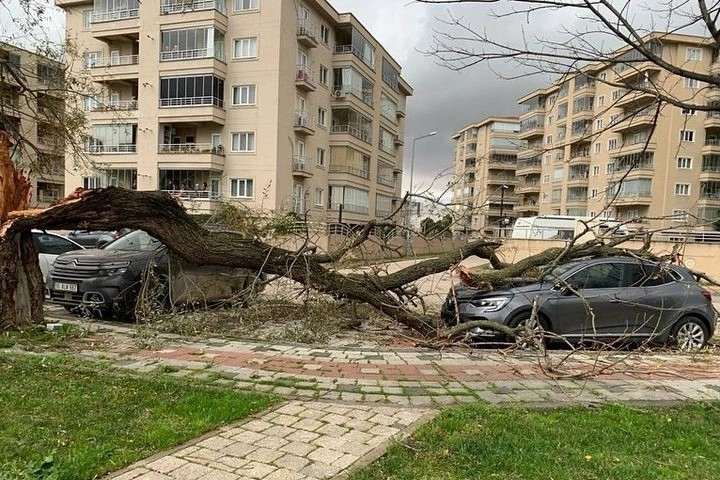 Bursa'da lodos hayatı felç etti! Ağaçları devirdi, çöp konteynerlerini sürükledi