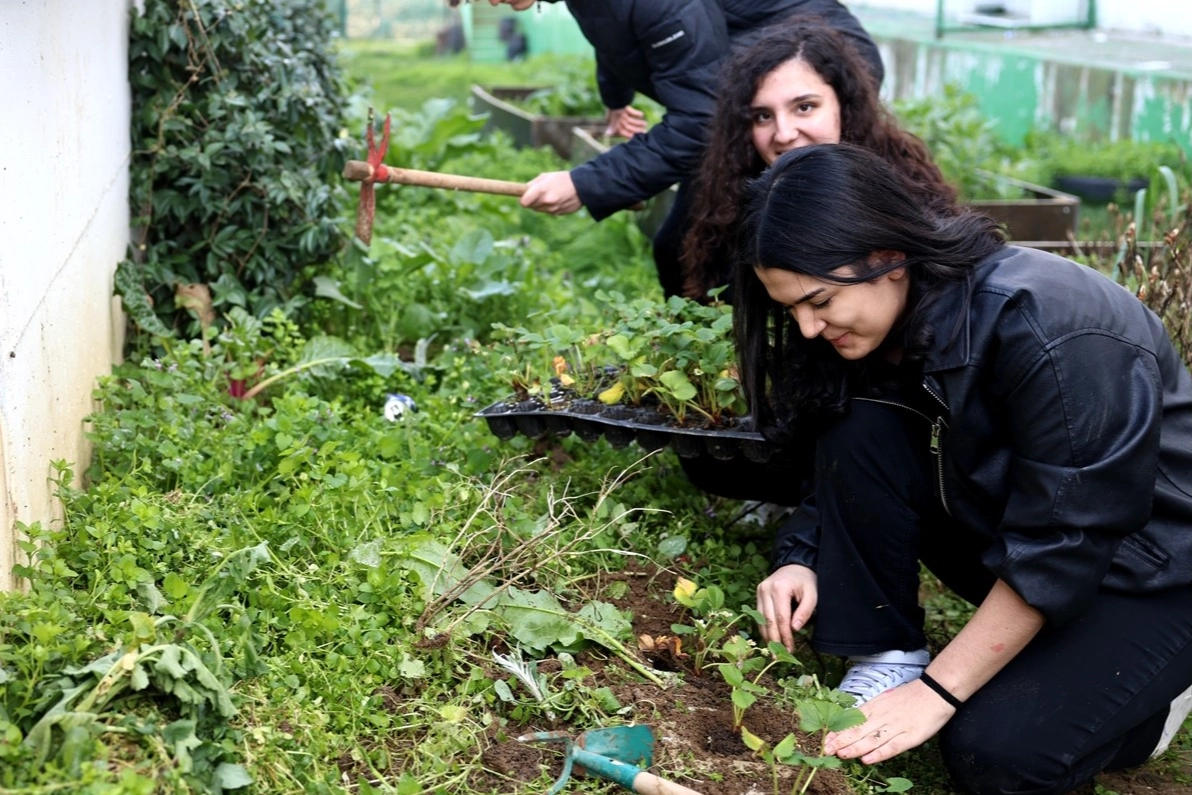 Nilüfer’de öğrenciler ders arasında fide ektiler