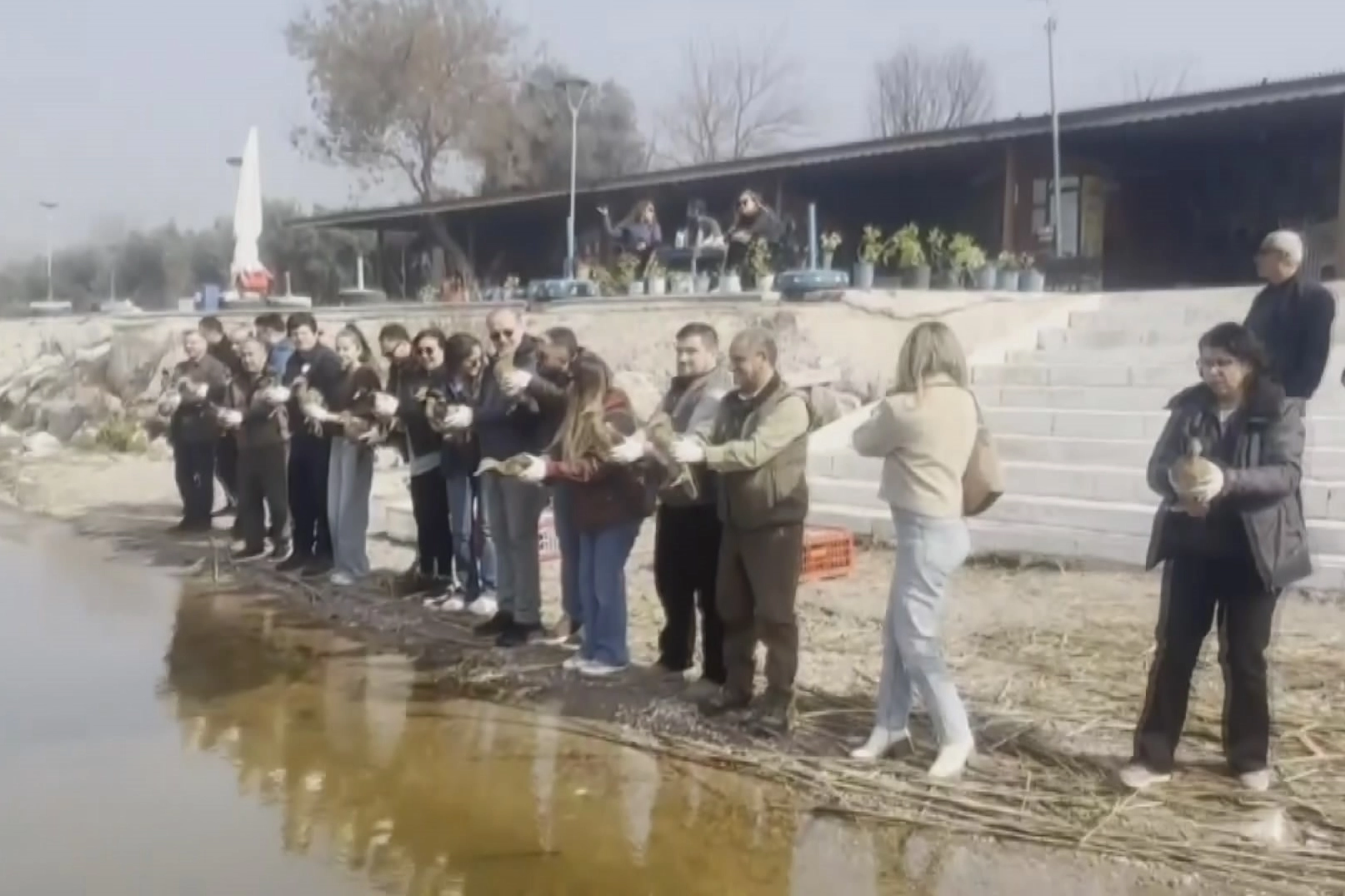 Tedavisi tamamlanan ördekler doğaya salındı