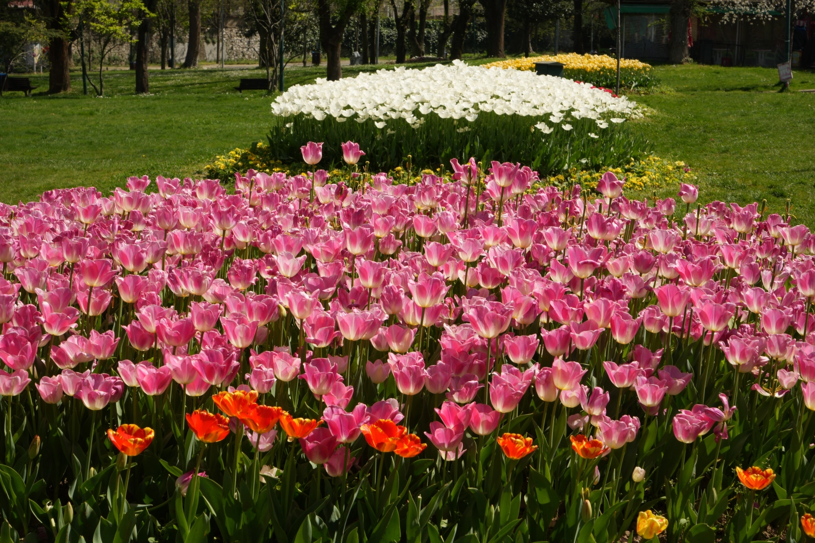 Bursa'nın parkları rengarenk