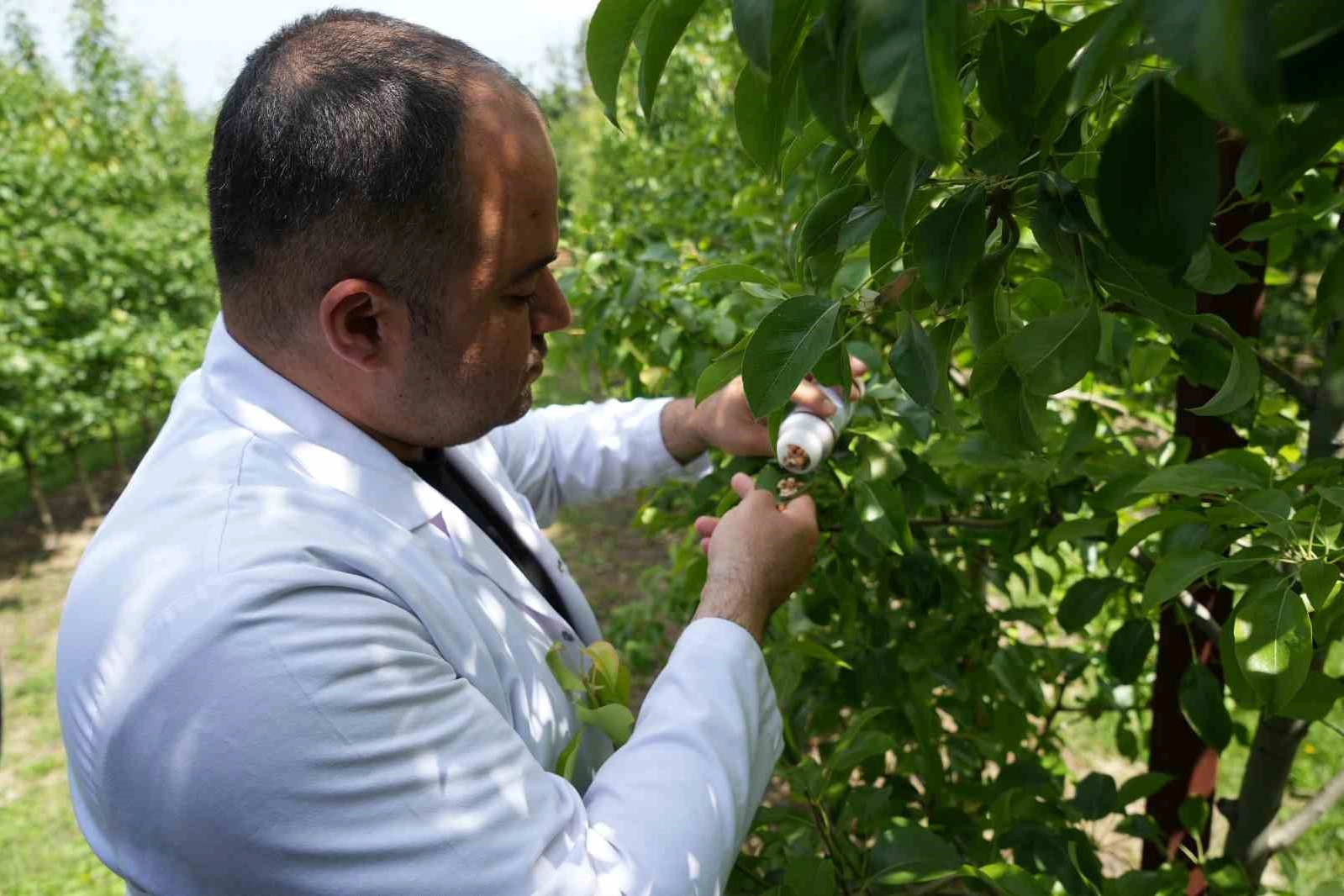 300 milyon yıldır bu anı bekliyorlar