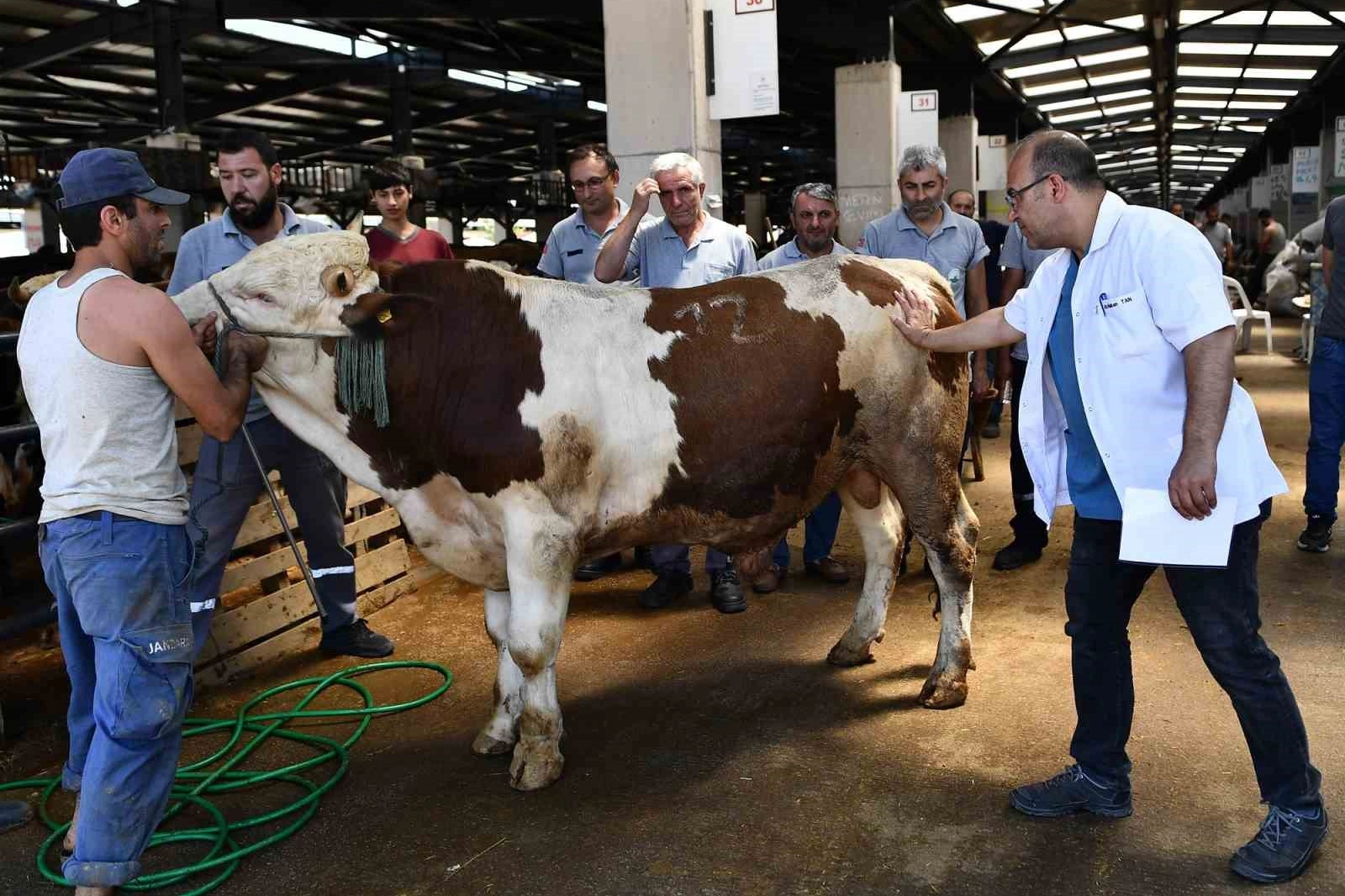 Osmangazi Belediyesi Kurban Bayramına hazır