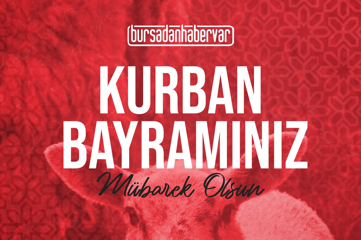 Kurban bayramınız mübarek olsun!