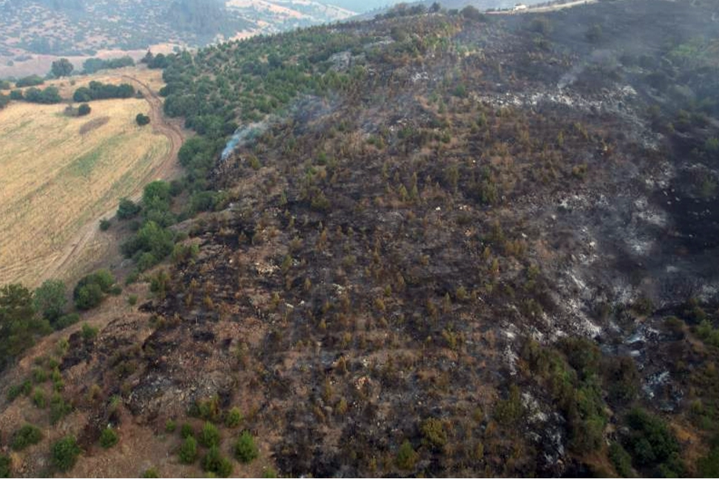 Bursa’daki yangın kısmen kontrol altına alındı