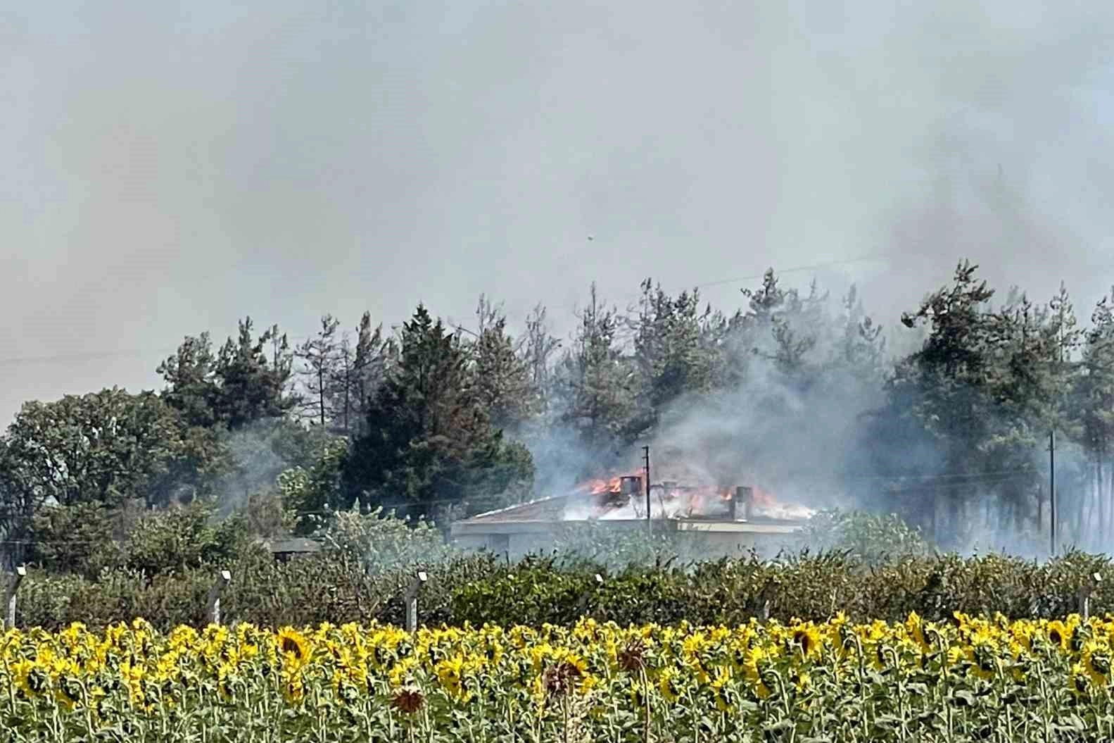 Bursa'da yangın devam ediyor!