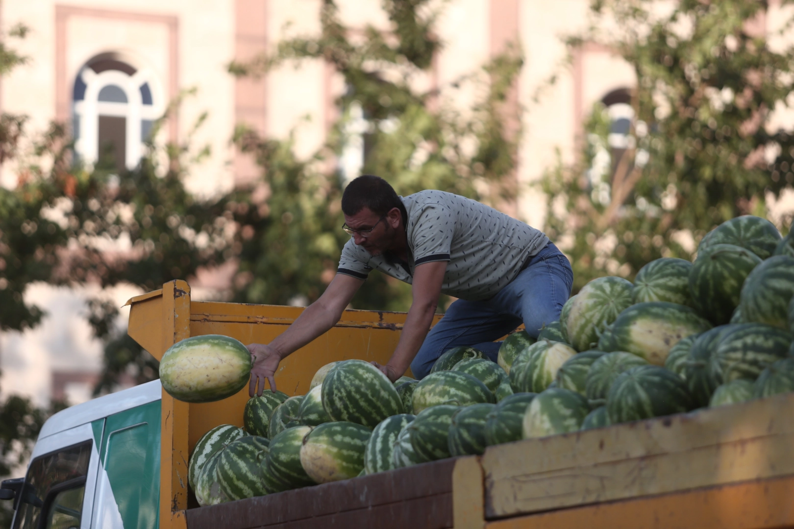 Tarlada kalan karpuz Bursalılara ücretsiz dağıtıldı