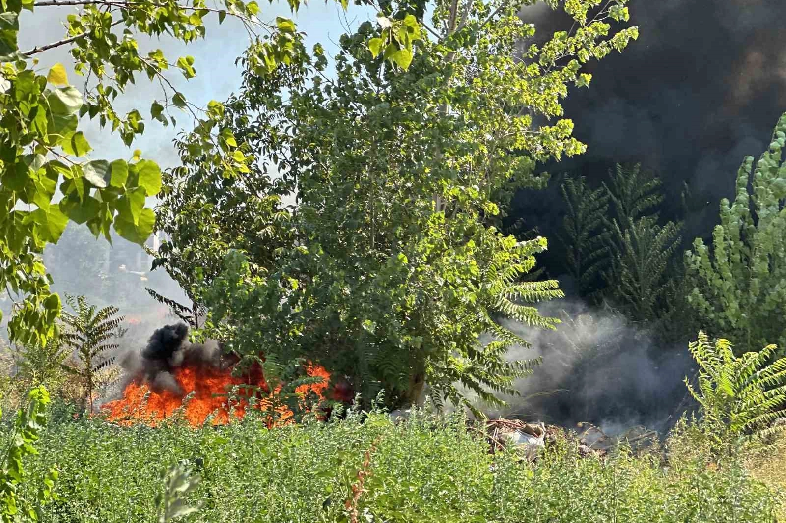 Bursa'da korkutan yangın, Odun depoları yandı