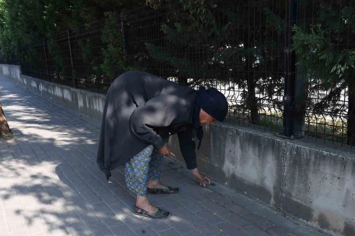 82 yaşındaki Nefise teyzeden örnek çevre hareketi