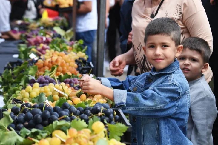 Osmangazi Belediyesi'nden Üzüm Festivali