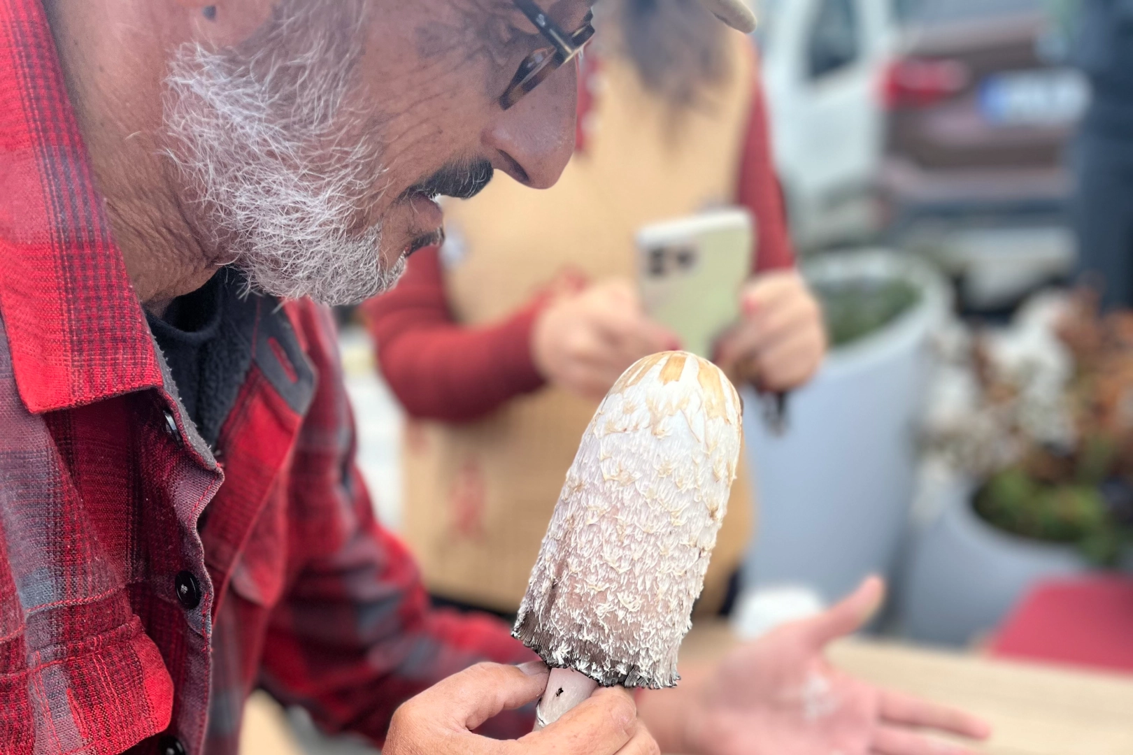 Ünlü mikolog Jilber Barutçiyan Uludağ’ın eşsiz mantarlarını keşfetti