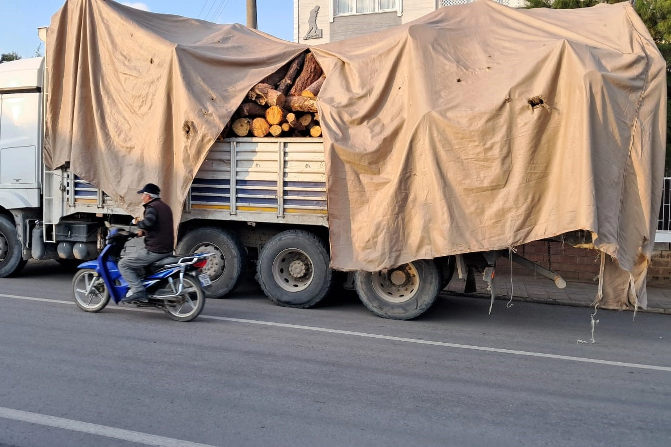 İznik'te tonlarca kütük devrildi, öğretmen kıl payı kurtuldu