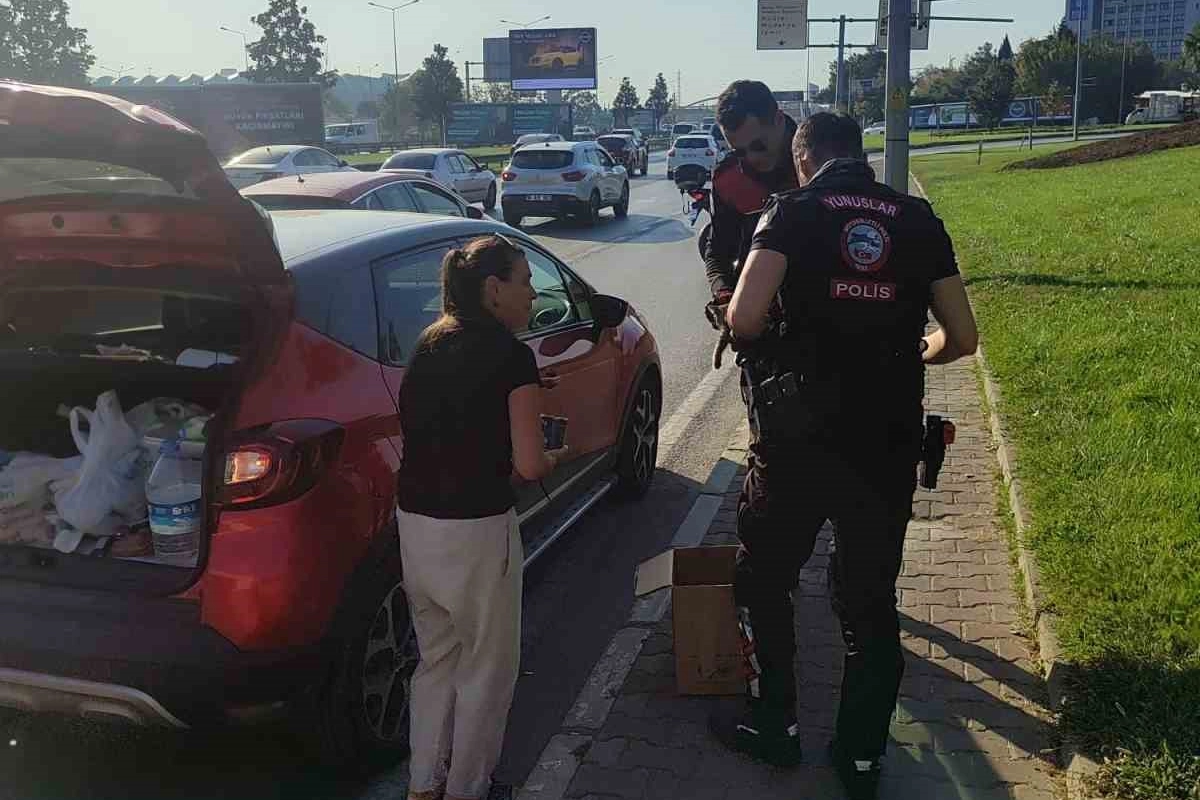 Sırameşeler'de Trafiği Karıştıran Yavru Kedi Kurtarıldı