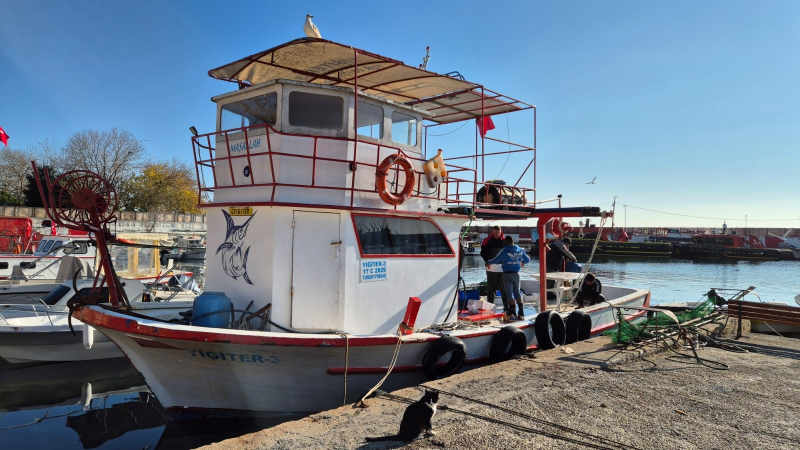 Marmara’da balıkçılar farklı balık türü ile dönüyor