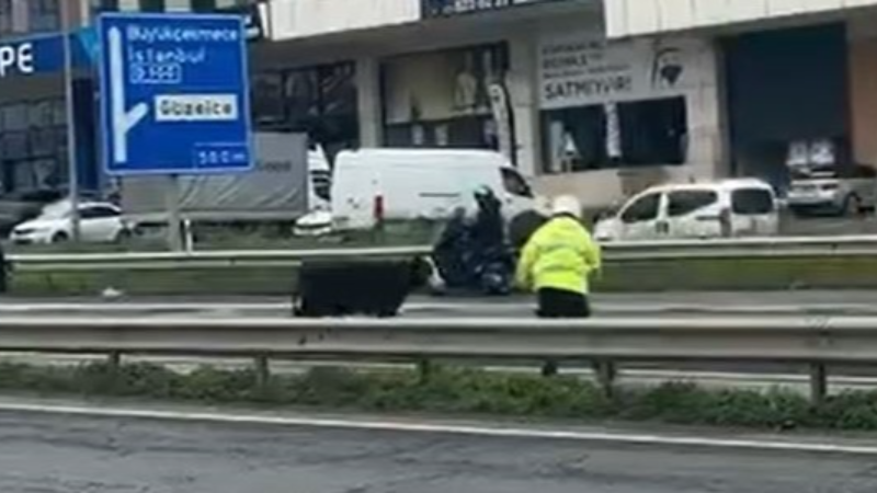 Büyükçekmece’de E-5’e giren dana trafiği kilitledi