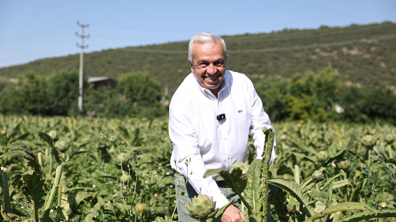 Tarım Nilüfer'de yeniden canlanıyor