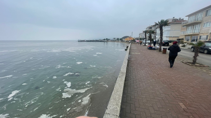 Mudanya'yı müsilaj sardı, deniz beyaz tabakayla örtüldü